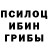 Псилоцибиновые грибы мицелий PuTa Petrova