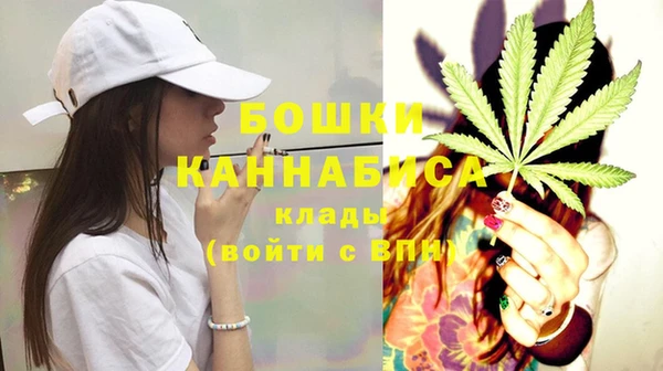 марки nbome Вяземский
