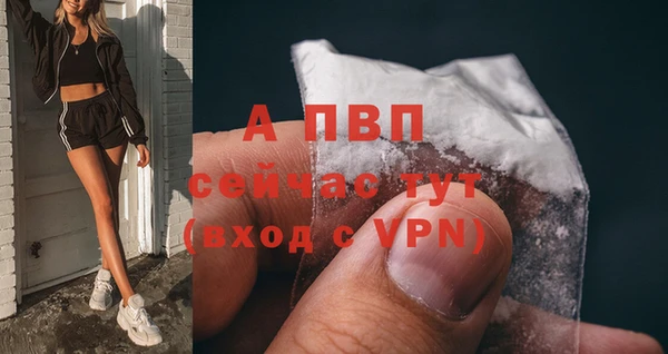 apvp Вязьма